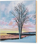 Winter Sunrise Beauty Wood Print