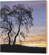 Winter Sunrise With Tree Silhouette Wood Print