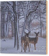 Winter Survival Wood Print