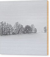 Winter Tree Line In Indiana Wood Print