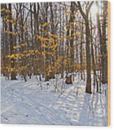 Winter Walk Wood Print
