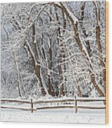 Winter - Westfield Nj - Snow Day Wood Print