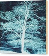 Winter Whispers Through The Night Wood Print