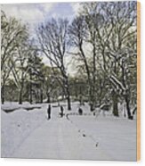Winter Wonderland In Central Park, New York Wood Print