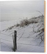 Winters Snow At Island Beach State Park Wood Print