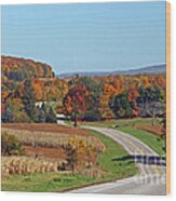 Wisconsin's Fall Color Wood Print
