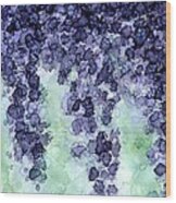 Wisteria Abstract Landscape Wood Print