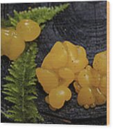 Witches Butter Wood Print