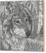 Wolf Gaze Wood Print