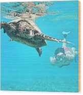 Woman Diving With A Hawksbill Sea Wood Print