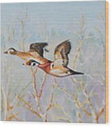 Wood Ducks Wood Print