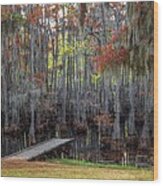 Wooden Dock On Autumn Swamp Wood Print