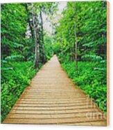 Wooden Way In Green Forest Lush Bush Wood Print