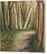 Woodland Walk Wood Print