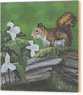 Woodsy Playground - Red Squirrel Wood Print