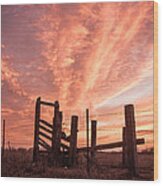Working Cattle/ End Of Day Wood Print