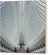 World Trade Center Station Wood Print