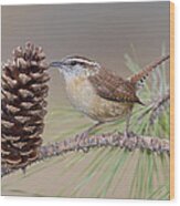 Wren In Pine Tree Wood Print