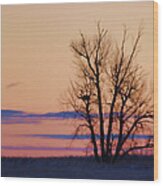 Wyoming Tree Wood Print