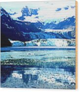 Xl Glacier Bay Alaska Wood Print