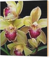 Yellow And Pink Orchids Wood Print