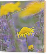 Yellow And Purple Flowers On A Green Summer Meadow Wood Print