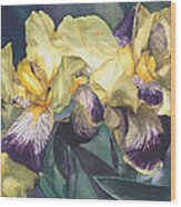 Watercolor Of An Iris Painted In Yellow With Purple Veins Wood Print