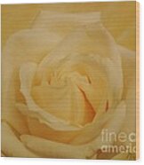 Yellow Beauty Rose Wood Print