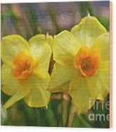 Yellow Daffodil Painting Wood Print