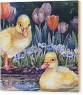 Yellow Ducklings - First Swim Wood Print