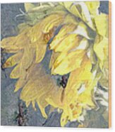 Yellow Fading Flower Wood Print