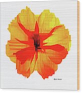 Yellow Hibiscus Wood Print