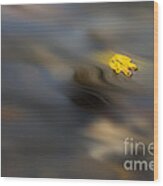 Yellow Leaf Floating In Water Wood Print