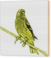 Yellow Lesser Goldfinch - 2235 F S M Wood Print