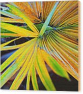 Yellow Palm 3 Wood Print