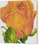 Yellow Rose Bud Wood Print