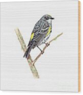 Yellow-rumped Warbler Wood Print