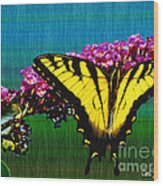 Yellow Swallowtail Butterfly Wood Print