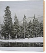 Yellowstone Gibbon Meadows Spring Snow And Reflection Wood Print