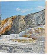 Yellowstone Mammoth Hot Springs Colorful Palette Spring Wood Print