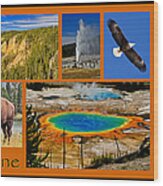 Yellowstone National Park Wood Print