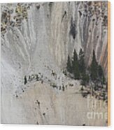 Yellowstone National Park Wood Print