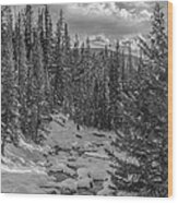 Yellowstone Snow Pillows Wood Print