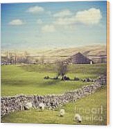 Yorkshire Dales With Dry Stone Wall Wood Print