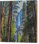 Yosemite Falls Wood Print
