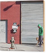 Young Man Walks Dog Wood Print