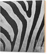 Zebra Pattern Close Up Wood Print