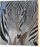 Zebra Pattern Wood Print