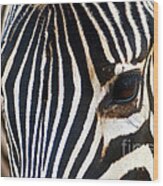 Zebra Vibrations Wood Print