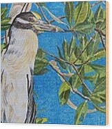 Yellow Crested Night Heron Painting Wood Print